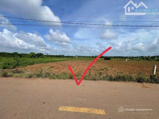 Bán đất thổ cư: Lô đất vuông đẹp 1000m2, ( 16 x 65) , sẵn 81m2 thổ cư - Đường Th