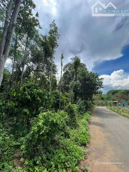 Bán đất nông, lâm nghiệp: bán 1 sào xã Kim Long, TPHCM đường nhựa 6m khu dân cư