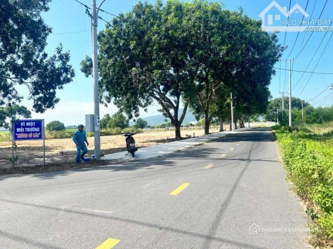 Bán đất thổ cư: Đất thổ cư cách Biển Phước Hải chỉ 2km 2 tỷ 250 sổ hồng riêng 