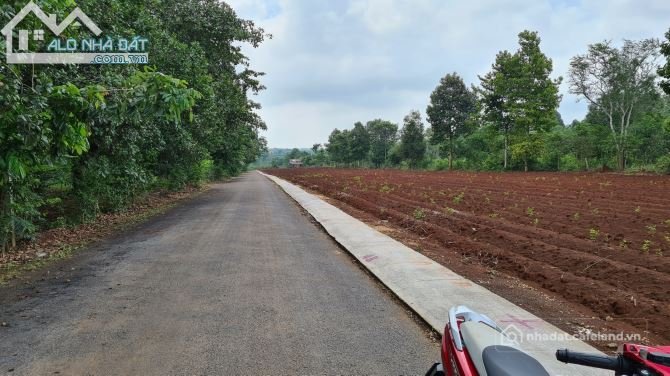 Bán đất thổ cư: LÔ ĐẤT P. HẮC DỊCH 5X38, 60TC NGAY HỒ NHÀ BÈ. MR TÙNG