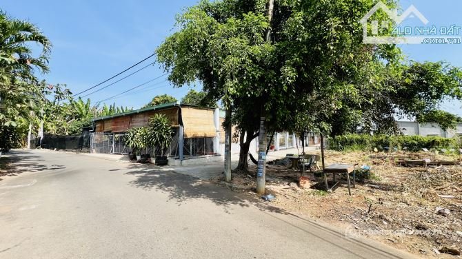 Bán đất thổ cư: TRUNG TÂM TT ĐẤT ĐỎ - KHU DÂN CƯ HIỆN HỮU