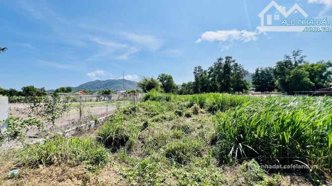 Bán đất thổ cư: BÁN ĐẤT THỔ CƯ- TT. PHƯỚC HẢI - LONG ĐẤT - BRVT