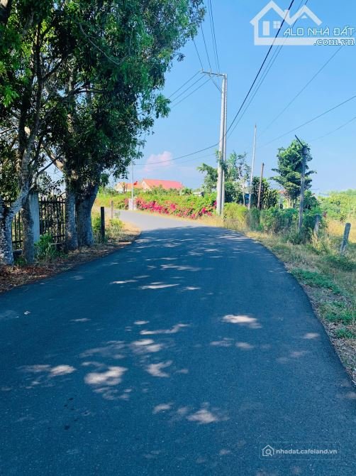 Bán đất nông, lâm nghiệp: Bán 1.3 mẫu view suối Bông Trang. Gần biển Hồ Cốc Hồ T