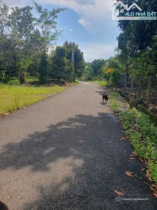 Bán đất thổ cư: Chủ kẹt tiền cần bán 4000m2 đất kim Long châu Đức BRVT ( tp HCM 