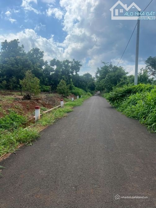 Bán đất thổ cư: Cần bán 1000m2 đất Quảng Thành châu Đức BRVT