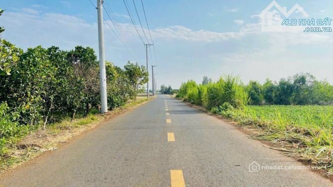 Bán đất thổ cư: MẶT TIỀN PHẠM HÙNG - CỔNG 2 KHU CÔNG NGHIỆP ĐẤT ĐỎ- BRVT,Siêu r