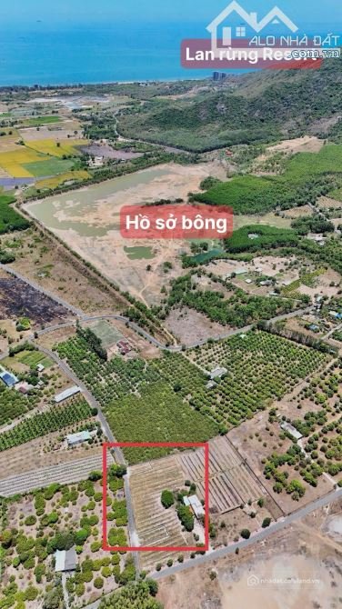 Bán đất thổ cư: LONG MỸ THỊ TRẤN PHƯỚC HẢI - LONG ĐẤT-BRVT NGAY HỒ SỞ BÔNG, cách