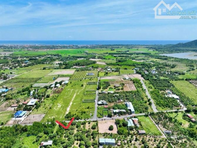 Bán đất thổ cư: VƯỜN XOÀI THỊ TRẤN PHƯỚC HẢI- GẦN BIỂN PHƯỚC HẢI - LONG ĐẤT - B