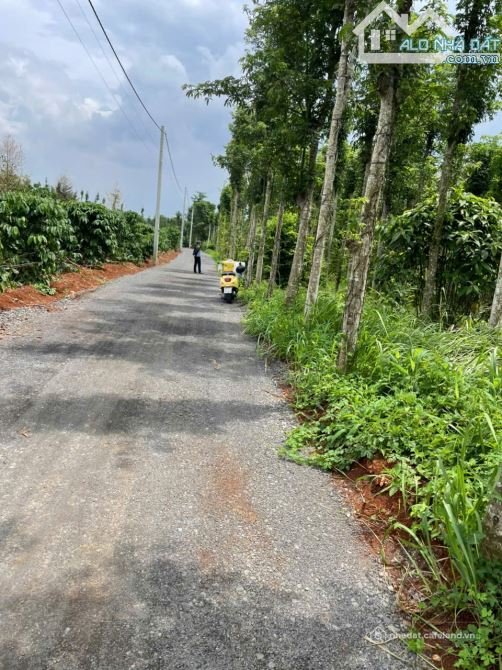 Bán đất nông, lâm nghiệp: Bán đất 829m2 Kim Long Châu Đức gần hồ Kim Long giá 1,