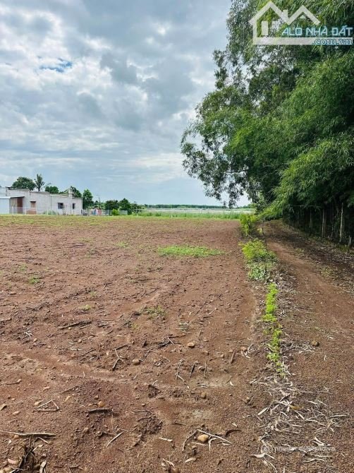 Bán đất thổ cư: THANH LÝ 500M2 TẠI BIỂN LỘC AN PHÙ HỢP LÀM NHÀ VƯỜN NGHỈ DƯỠNG