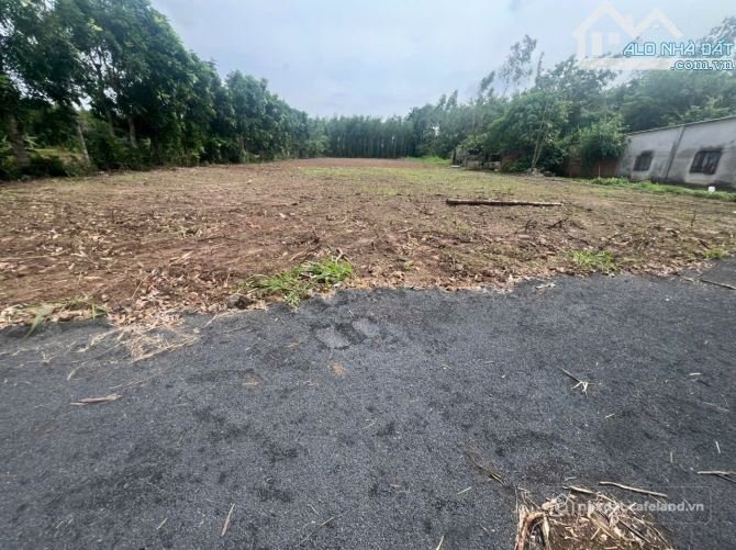 Bán đất thổ cư: XÃ ĐẤT ĐỎ TP HCM NGAY SÁT QUỐC LỘ 55 VÀ KCN ĐẤT ĐỎ 1000M GIÁ 1,