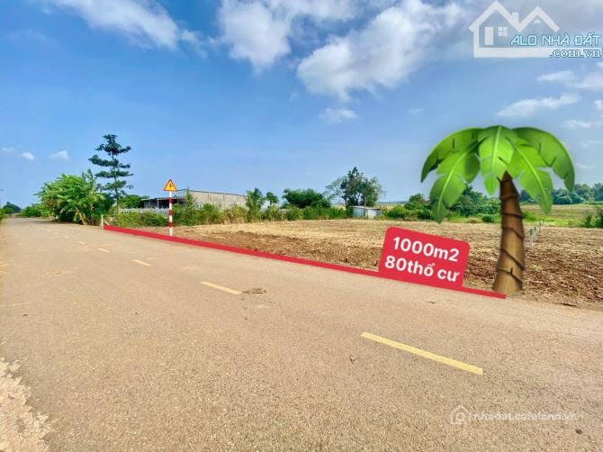 Bán đất thổ cư: BÁN ĐẤT XÃ ĐẤT ĐỎ - TP HỒ CHÍ MINH; ( Cũ là xã Láng Dài - Huyện 