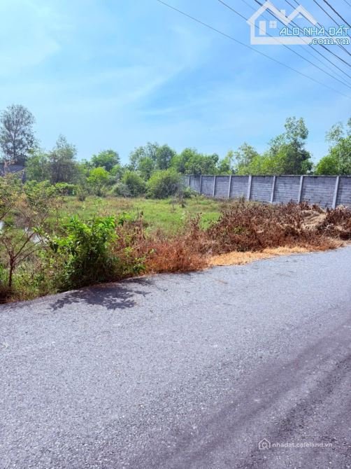 Bán đất thổ cư: LÔ ĐẤT BIỂN HỒ TRÀM, THỔ CƯ NHIỀU, CÁCH PHỐ ĐI BỘ 5 PHÚT,KHU DÂN