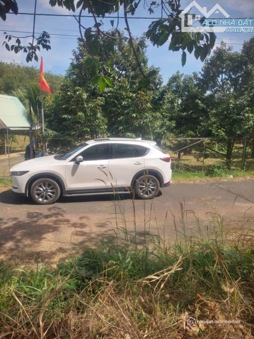 Bán đất thổ cư: VƯỜN CÂY ĂN TRÁI GẦN 1HA VIEW SUỐI, CÁCH QUỐC LỘ 300M, PHỦ HỒNG 