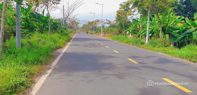 Bán đất thổ cư: LÔ ĐẤT 3 MẶT TIỀN ĐƯỜNG CHÍNH TP.BÀ RỊA, PHỦ HỒNG, VƯỜN CÂY ĂN T