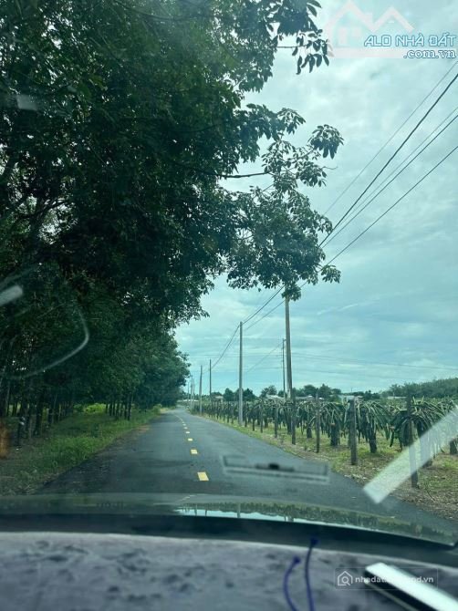 Bán đất nông, lâm nghiệp: Bán gấp lô đất 1000m2 cách biển Hồ Tràm 10p, QL55 3p g