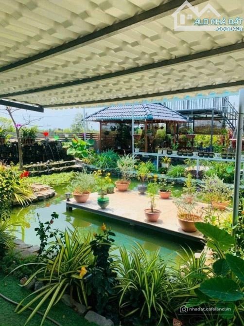 Bán nhà riêng: Bán nhà vườn nghỉ dưỡng xã Phước Hải dt 1500m2 giá 6.5 tỷ