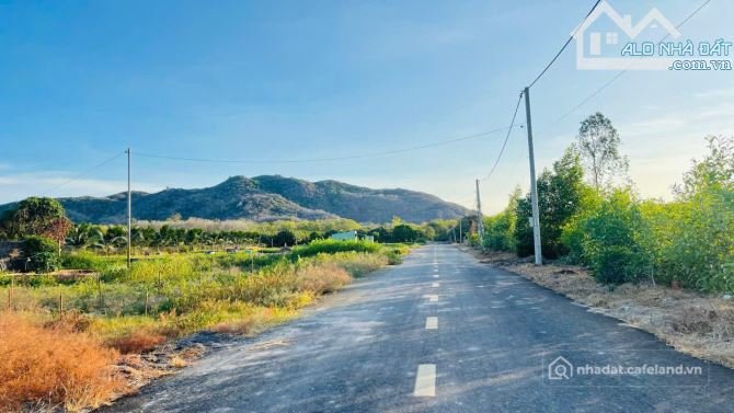 Bán đất thổ cư: BÁN NHANH - ĐẤT VEN BIỂN LỘC AN - HỒ TRÀM - TP.HCM (BRVT) GIÁ CH