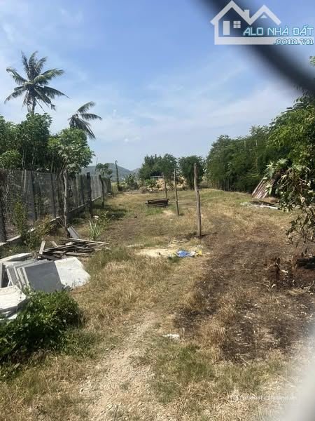 Bán đất thổ cư: bán lô đất gần 1sào5 có 160m thổ cư đường bê tông ô tô thuộc an 