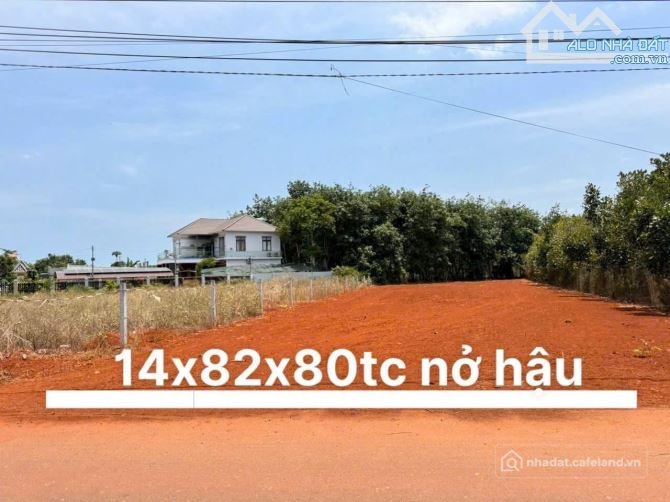 Bán đất thổ cư: BÁN LÔ ĐẤT MẶT TIỀN ĐƯỜNG NHỰA SAU CHỢ LONG PHƯỚC KHU DÂN CƯ SẦM