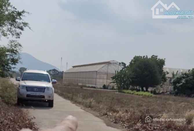 Bán đất nông, lâm nghiệp: bán 4 ha đất quy hoạch thương mại dịch vụ tổng hợp chỉ