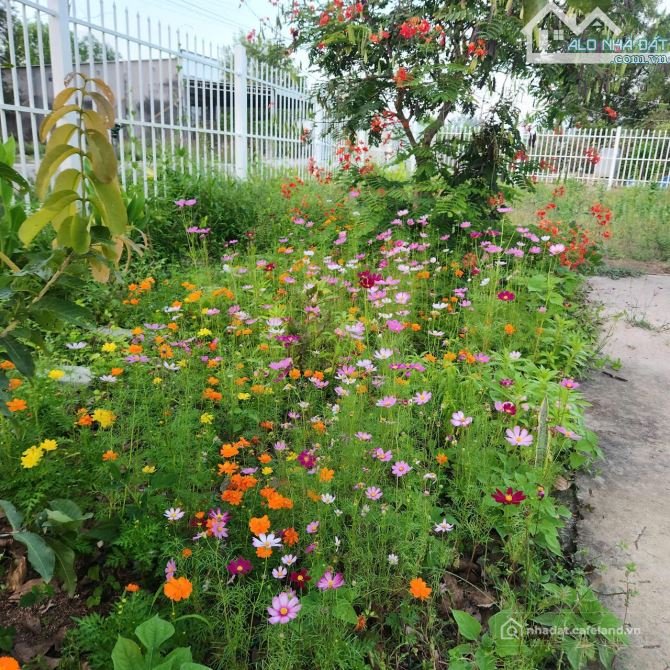 Bán đất thổ cư: Đất du lịch Hồ Tràm-tp HCm- dt:349m2-10mx35m-130 thổ cư-sổ sẵn g