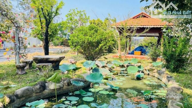 Bán đất thổ cư: Bán nhà vườn nghỉ dưỡng Phước Hải dt 1310m2 giá 7.5 tỷ