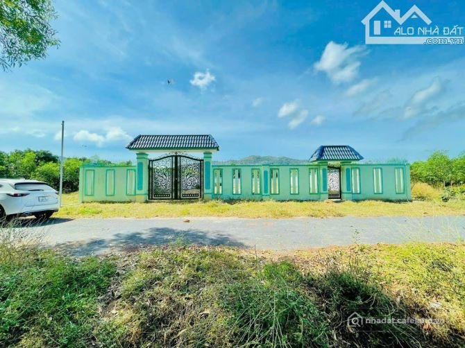 Bán đất nông, lâm nghiệp: BÁN 1124m² ĐẤT NGHỈ DƯỠNG BIỂN PHƯỚC HẢI