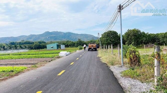 Bán đất thổ cư:  Vị trí: Thị trấn Phước Hải – Long Điền, Bà Rịa Vũng Tàu  Diện