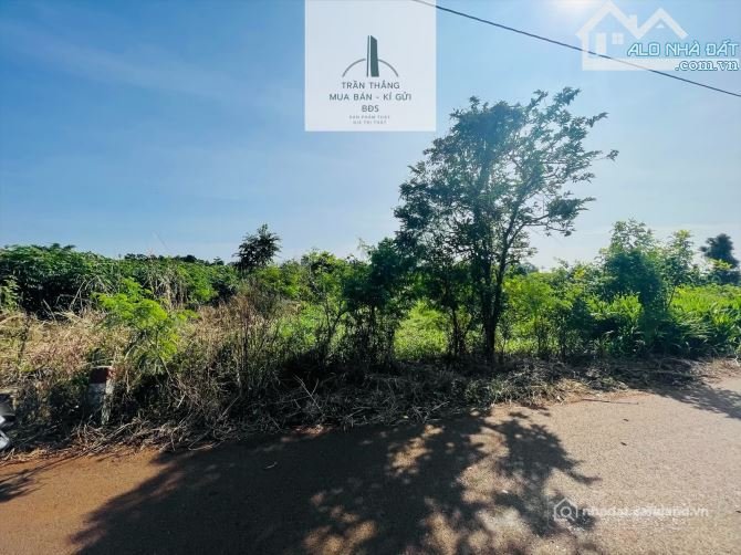 Bán đất thổ cư: Đất Bình Trung - Khu Dân Cư - Thích Hợp Xây Nhà