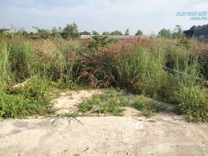 Bán đất thổ cư: Rẻ 30%, sau Tái Định Cư Hắc Dịch, Phú Mỹ 6*27, 40Tc, chỉ 1.3T