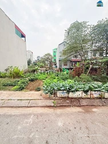 Bán đất thổ cư: Bán đất, HOÀ LẠC, huyện thạch thất, đối diện  ĐH FPT, ĐHQG, SÁT 