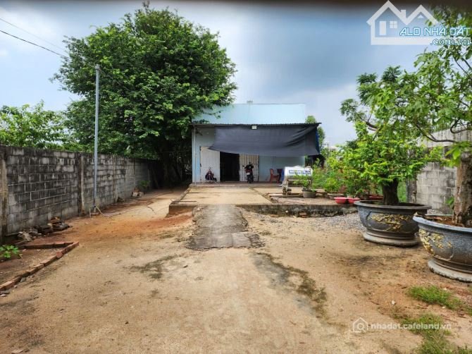 Bán đất thổ cư: Bán nhà cấp 4 dt 10x50 tc50. Lam sơn, phước hoà, tphcm