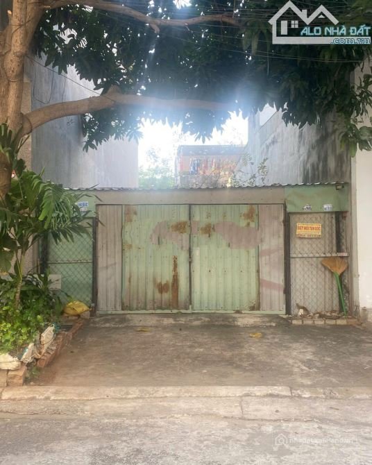 Bán đất thổ cư: BÁN ĐẤT KHU NHÀ Ở QUANG HƯNG - PHƯỜNG 11 VŨNG TÀU - ĐƯỜNG 11M - 