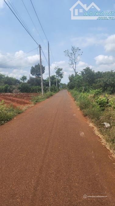 Bán đất nông, lâm nghiệp: Cần tiền bán lô đất hơn 4 sào xã Bình Ba, huyện Châu Đ