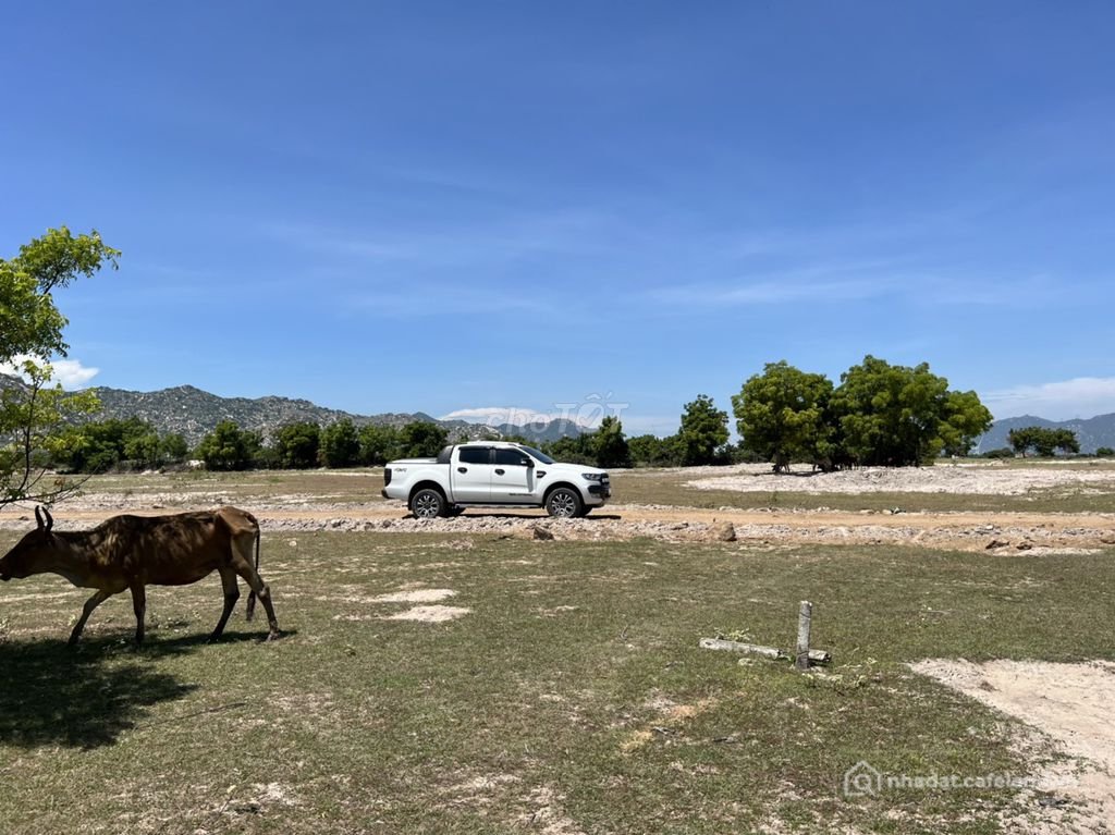 Bán đất nông, lâm nghiệp: Đất 15522m2 đất nằm cạnh Khu CN Phước Nam và UBND Thuậ