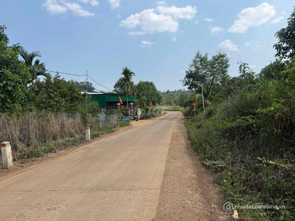 Bán đất nông, lâm nghiệp: cắt lỗ 3 sào đất thị trấn Dak Mil chỉ 550tr ngay sau T