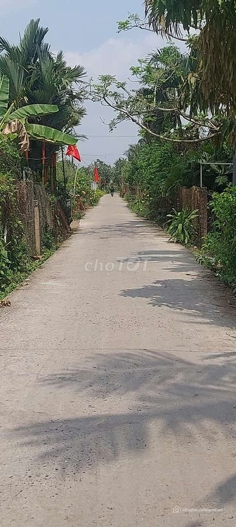 Bán đất nông, lâm nghiệp: Cần bán lô đất khu dân cư gần thị trấn Cái Bè