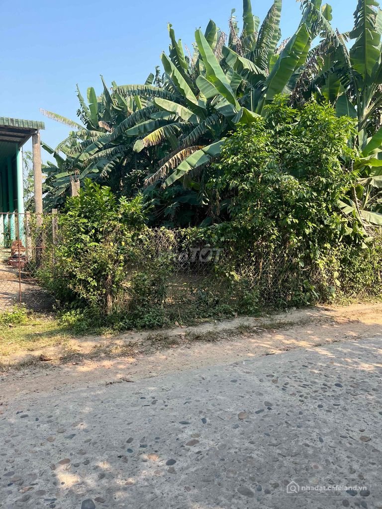 Bán đất thổ cư: Đất Nghĩa Thắng, mặt tiền đường 8m, sau lưng ubnd xã Trà Giang