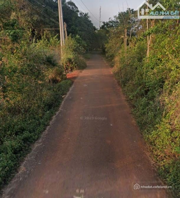 Bán đất nông, lâm nghiệp: Bán lô đất 1,1ha phủ hồng mặt tiền nhựa xã Láng Lớn na