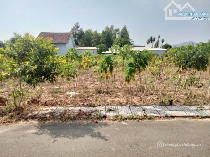 Bán đất thổ cư: Rẻ bất ngờ, gần Chợ Hắc Dịch, Phú Mỹ, 5*30, 60 Thổ Cư, chỉ 1.4T