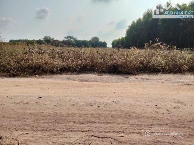 Bán đất nông, lâm nghiệp: Siêu Phẩm VIP 3100M2 , Tóc Tiên, Phú Mỹ Vũng Tàu,Chỉ 7