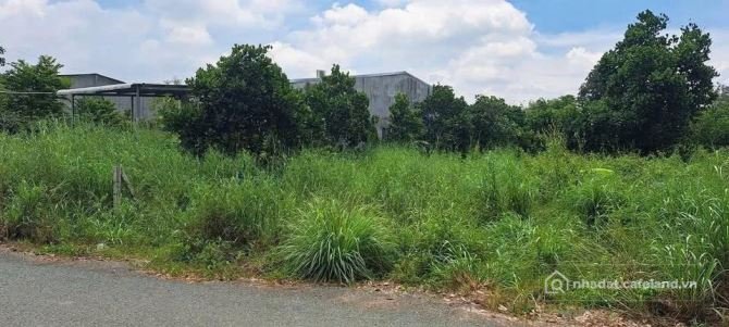 Bán đất thổ cư: 1000m có sẵn 100m thổ cư ngang 10 cách hồ du lịch dầu tiếng hơn 