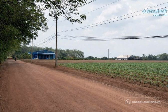 Bán đất thổ cư: Minh Hòa 31 sát tỉnh lộ 749b, 250m2 gần cụm công nghiệp Tân Sa g
