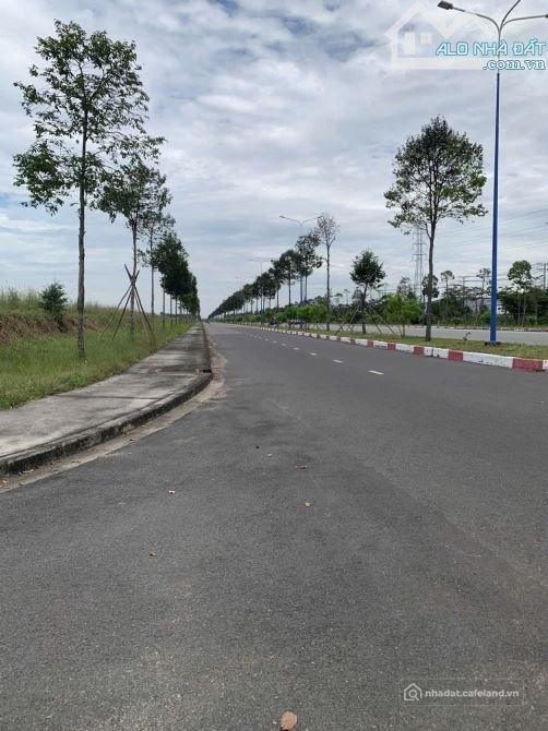 Bán đất nền dự án: Chuyển nhượng đất trong KCN Bàu Bàng mở rộng