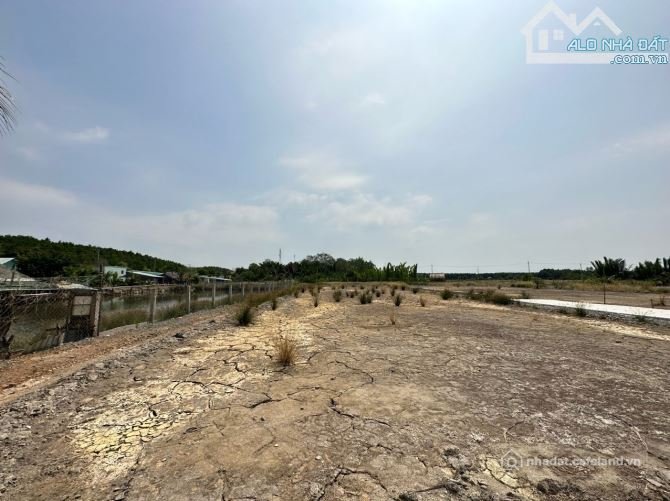 Bán đất thổ cư: Bán lô đất đường An Thới Đông, xã An Thới Đông, Cần Giờ