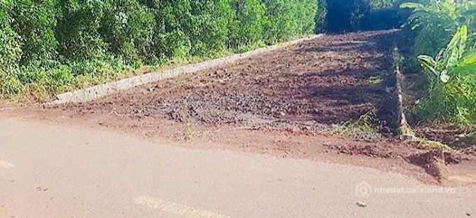 Bán đất thổ cư: 1000m2 ngay tỉnh lộ 997- cách khu công nghiệp Đất Đỏ 700m ----