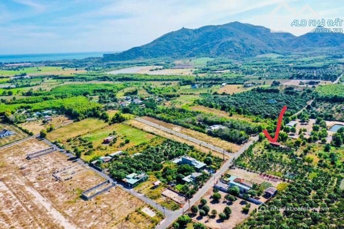 Bán đất thổ cư: THỊ TRẤN PHƯỚC HẢI - GẦN BIỂN PHƯỚC HẢI - LONG ĐẤT - BRVT Đường