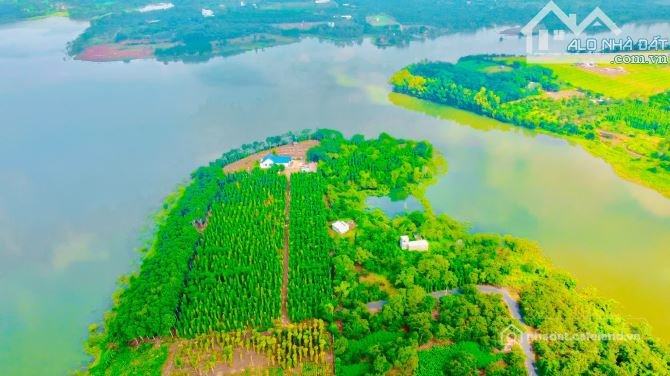 Bán đất thổ cư: SIÊU PHẨM VIEW HỒ SÔNG RAY TUYỆT ĐẸP, PHỦ HỒNG TOÀN BỘ, CÁCH TỈN
