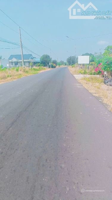 Bán đất thổ cư: LÔ ĐẤT BIỂN HỒ TRÀM, MẶT TIỀN ĐƯỜNG NHỰA LỚN, CÁCH PHỐ ĐI BỘ VÀ 